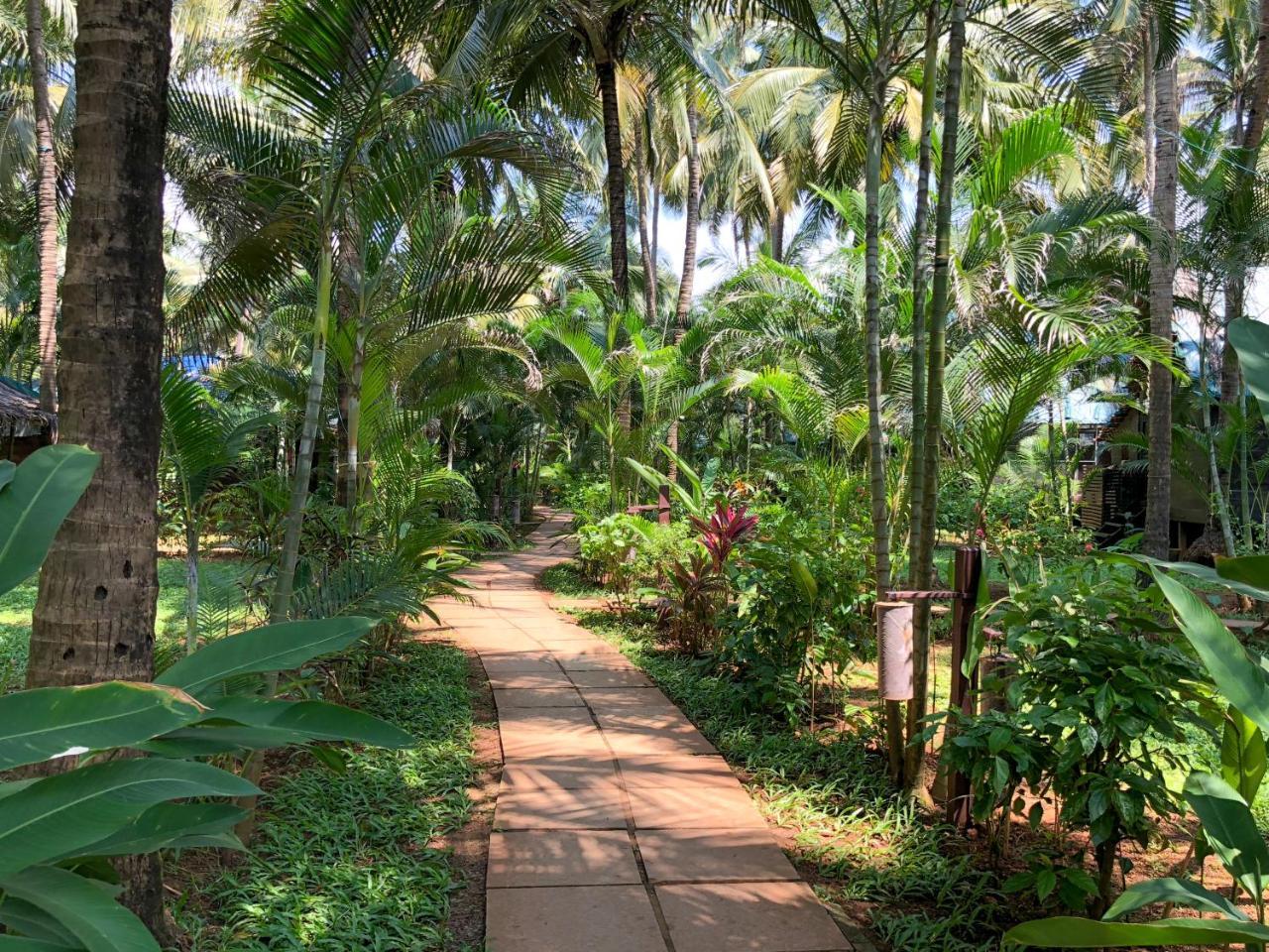 Leela Cottages Morjim Exterior photo